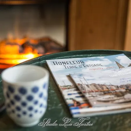 Lejlighed La Venelle Du Bassin Honfleur