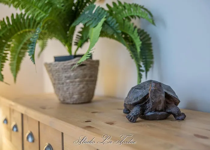 La Venelle Du Bassin Honfleur